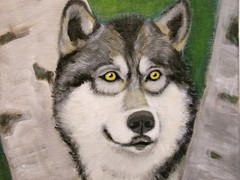 Original Acrylic Painting Timber Wolf 9×12 Animal Dog Wildlife Wall Art Signed