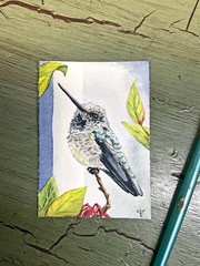 Original Hummingbird ACEO Watercolor Painting by artist Jennifer L Nilsson