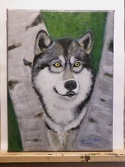 Original Acrylic Painting Timber Wolf 9×12 Animal Dog Wildlife Wall Art Signed