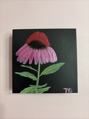 Purple Coneflower -Acrylic, Metallic Painting on Black Wooden Box -5x5x1.5 in