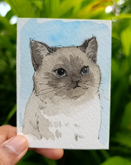 ACEO Original Watercolor Painting OOAK Siamese Cat Blue Eyes Miniature Pet Art
