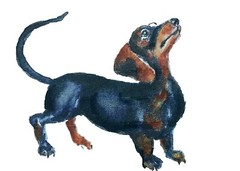 ACEO dachshund dog art original signed painting,home design,pet lover best gift