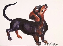 ACEO dachshund dog art original signed painting,home design,pet lover best gift