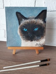 Siamese Cat Painting Pet Original Art 8 by 8 Cat Blue Eyes Oil Painting