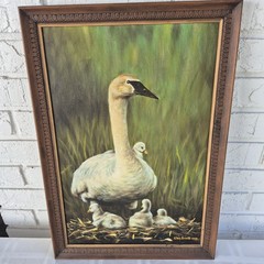 Vntg Oil Painting Swan And Cygnets On Nest Framed Signed