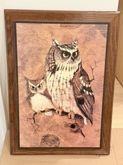 1970’s Richard Hinger Screech Owls Print Framed 21″x15.5″