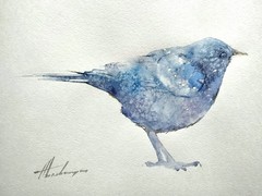 Bluebird