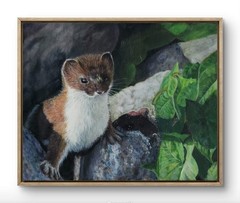 Original Realistic Art 10 x 8 Weasel Canvas Board Painting