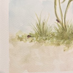 Original Watercolor Painting 9×12 – “A Spring Quest” – Floral Nature Art Signed