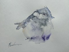 Chickadee