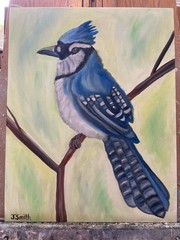 Original oil painting 11 x 14 inches gorgeous colorful blue jay bird