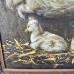 Vntg Oil Painting Swan And Cygnets On Nest Framed Signed