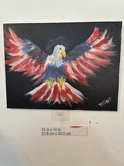Patriotic Eagle