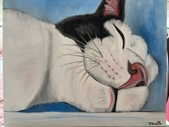 Original oil painting 11 x 14 inch cute sleeping kitty cat signed canvas