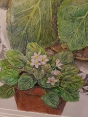 Vintage Still Life Flower Painting Signed Hydrangea Potted Plants Large Framed
