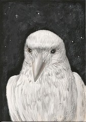 ACEO PRINT OF PAINTING RAVEN WHITE CROW HALLOWEEN FOLK ART WHIMSICAL WICCA ghost